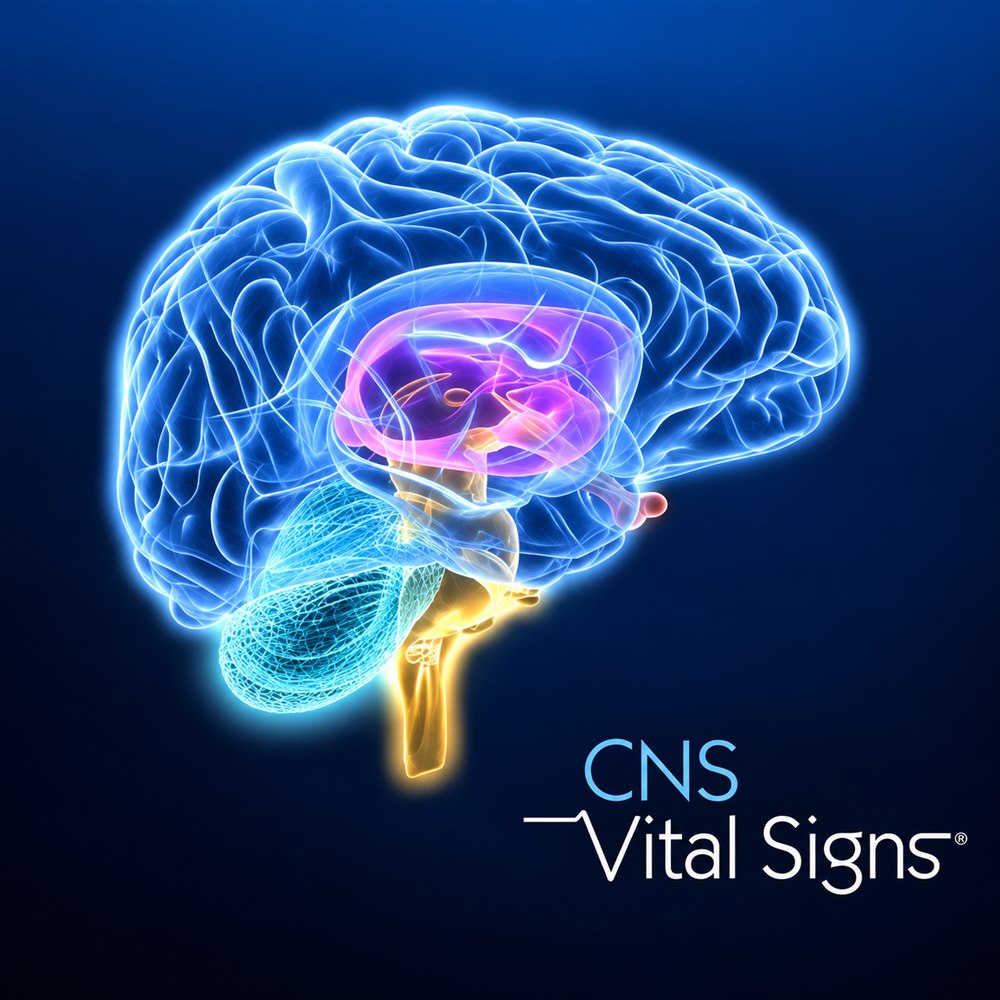 CNSVS 검사